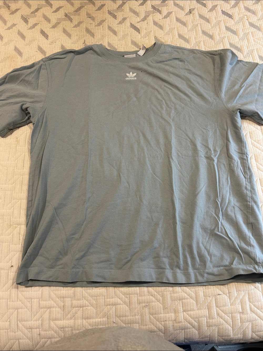 adidas oversized Light Blue Trefoil Crewneck Tee